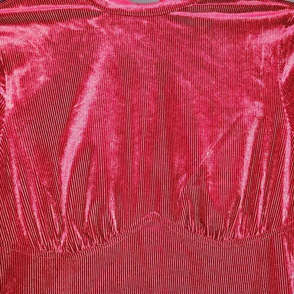 Port Red Velvet Rib Dress (Mini) - Picture 2 of 7